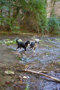DSCF6153.JPG