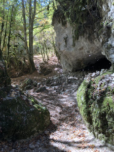 IMG_4852.JPG
