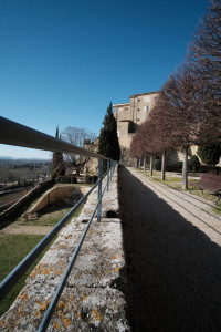 DSCF8049.JPG