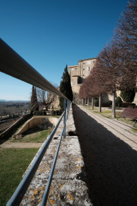DSCF8050.JPG