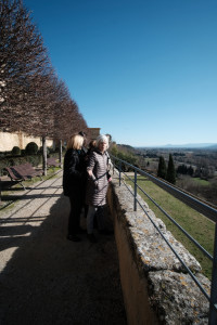 DSCF8052.JPG