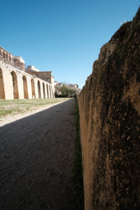 DSCF8058.JPG