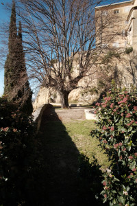 DSCF8059.JPG