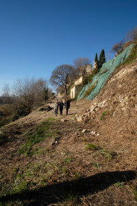 DSCF8081.JPG