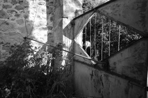 DSCF8083.JPG