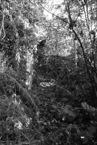 DSCF8087.JPG