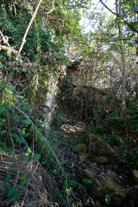DSCF8088.JPG