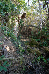 DSCF8089.JPG
