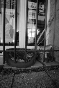 DSCF8108.JPG