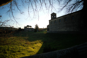 DSCF8124.JPG