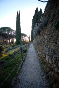 DSCF8125.JPG