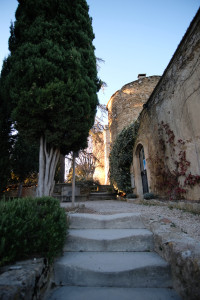 DSCF8127.JPG