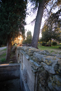 DSCF8128.JPG