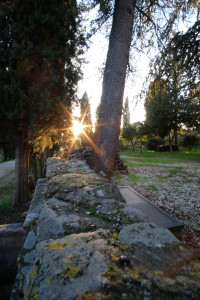 DSCF8129.JPG
