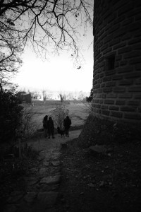 DSCF8131.JPG