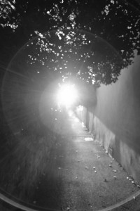 DSCF8133.JPG