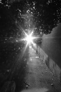 DSCF8134.JPG