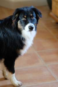DSCF8167.JPG