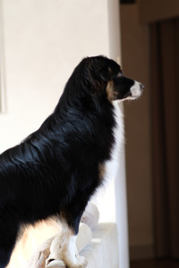DSCF8182.JPG