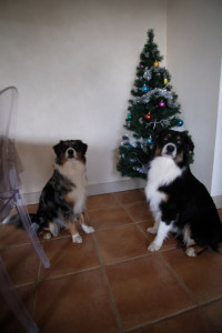 DSCF8204.JPG