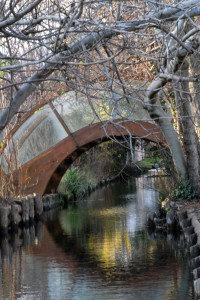 DSCF8215.JPG