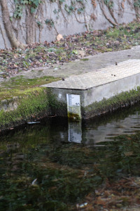 DSCF8220.JPG