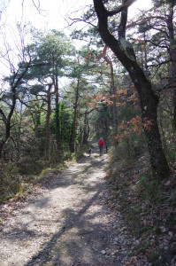 IMGP0161.JPG
