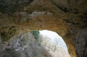 IMGP0177.JPG