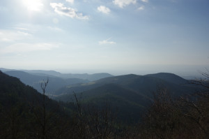 IMGP0182.JPG