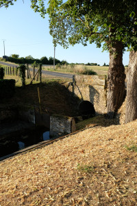 DSCF0008.JPG