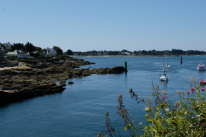 DSCF0078.JPG