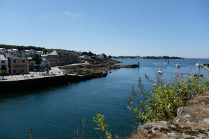 DSCF0079.JPG