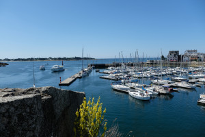 DSCF0080.JPG