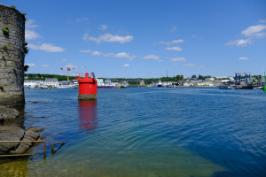 DSCF0091.JPG