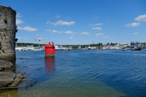 DSCF0092.JPG