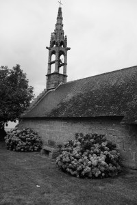 DSCF0155.JPG