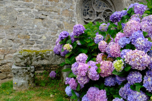 DSCF0160.JPG