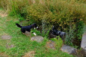 DSCF0164.JPG