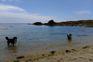 DSCF0178.JPG