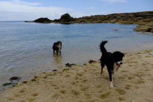 DSCF0179.JPG