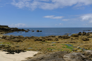 DSCF0182.JPG