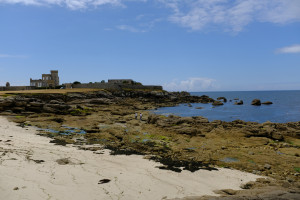 DSCF0183.JPG