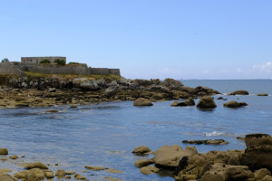 DSCF0187.JPG