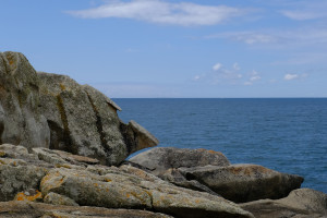 DSCF0189.JPG