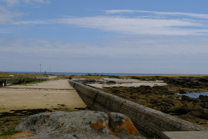 DSCF0190.JPG