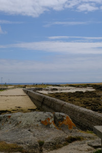 DSCF0191.JPG