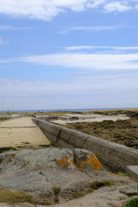 DSCF0192.JPG