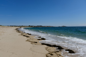 DSCF0212.JPG