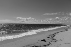 DSCF0215.JPG