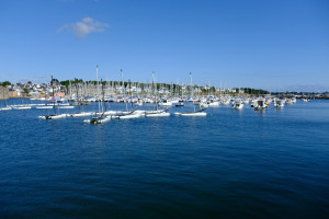 DSCF0219.JPG